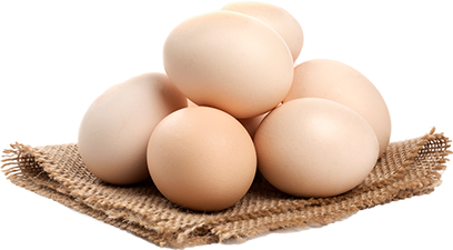 img egg 01